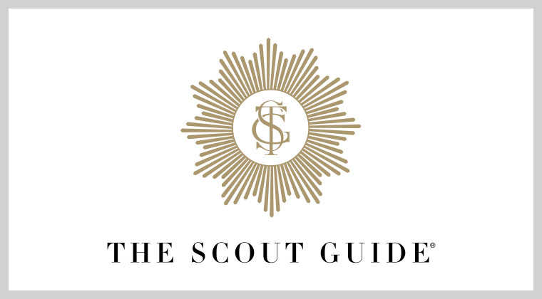 The Scout Guide