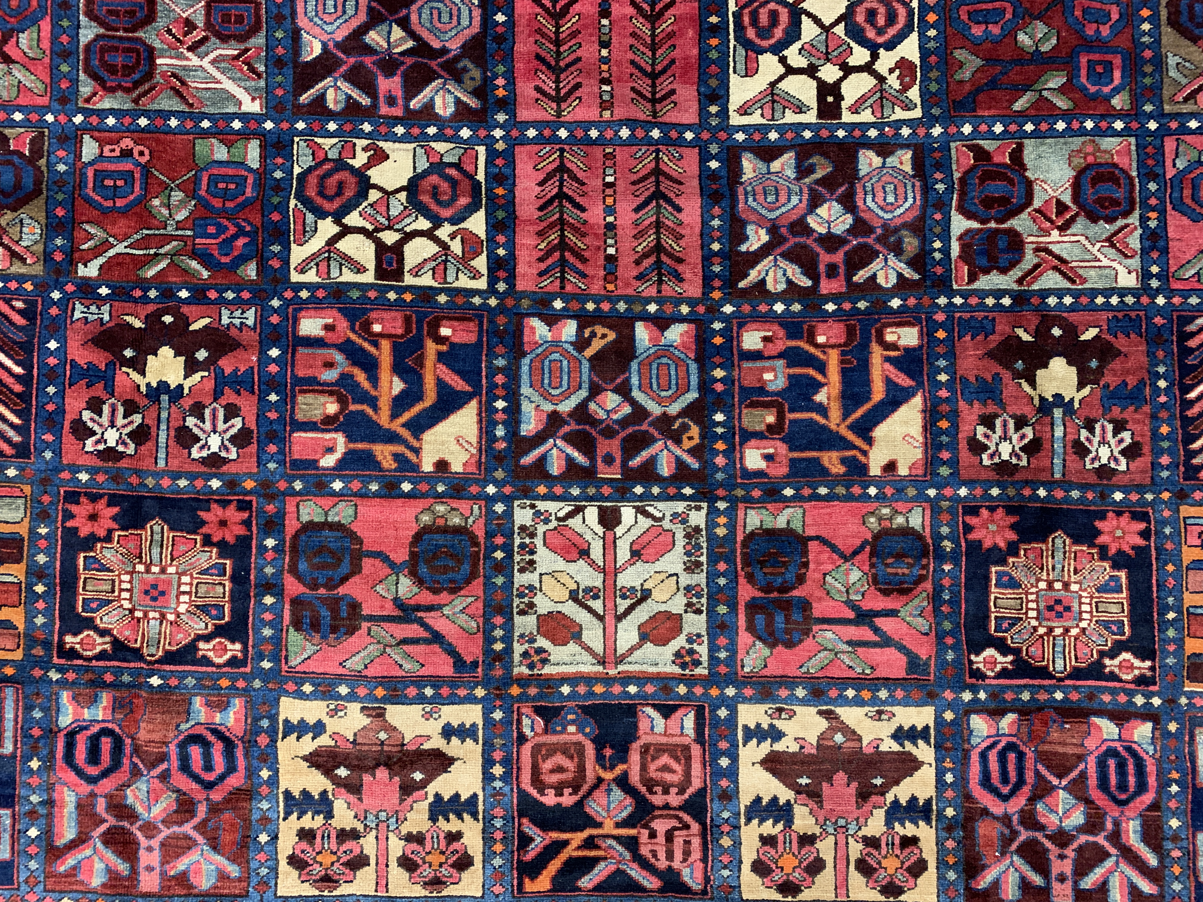 BAKTIARI / IRAN | Togar Rugs